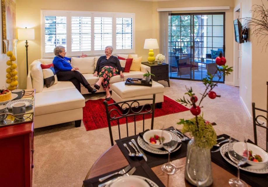 Two women in an apartment living room visiting