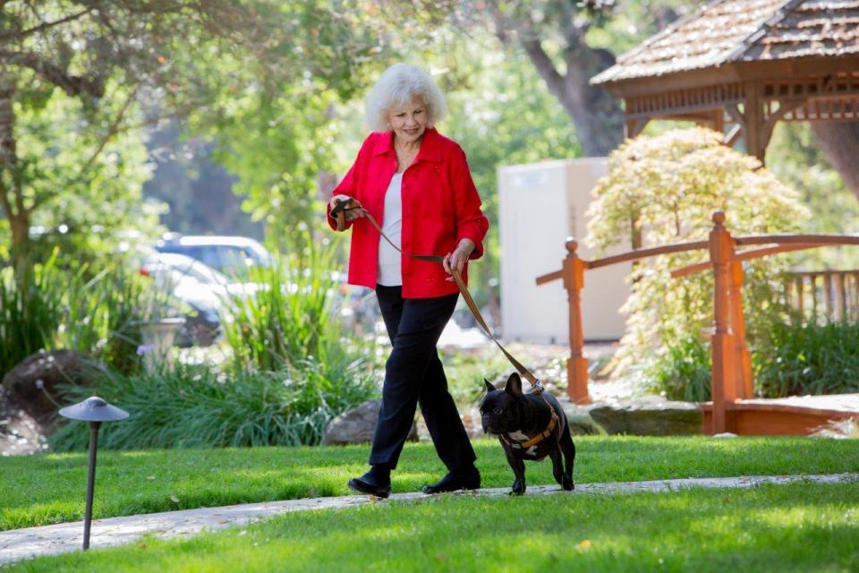 Woman walking her dog