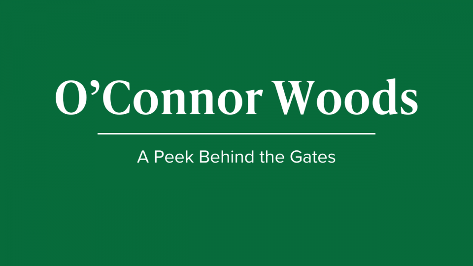 Discover O’Connor Woods